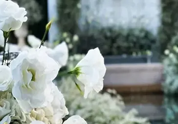 مزون عروس هانیل