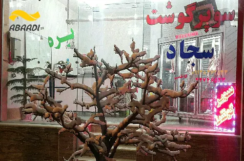 گوشت سجاد