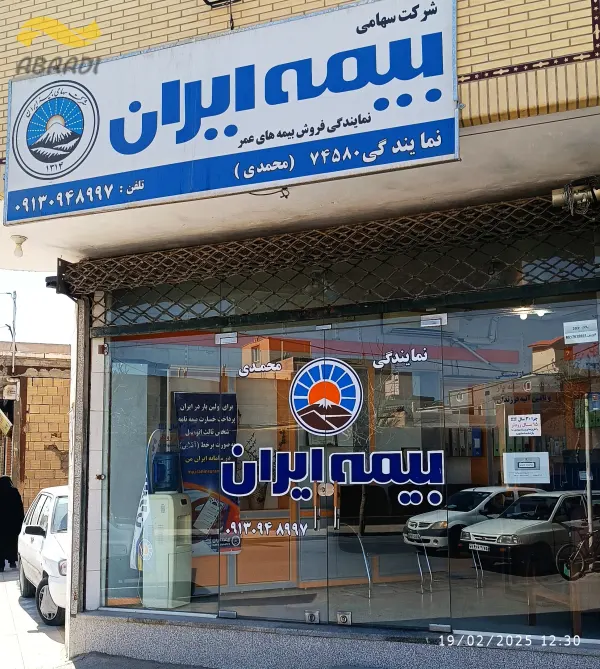 نمایندگی بیمه ایران (محمدی)